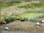 foto Lago di Montalon